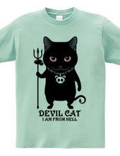 devil cat　悪魔猫