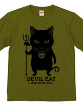 devil cat　悪魔猫