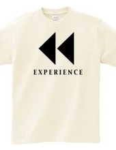 EXPERIENCE