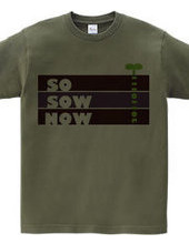 SO SOW NOW 20110311