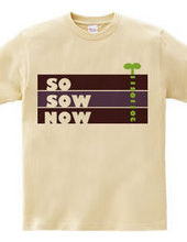 SO SOW NOW 20110311