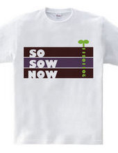 SO SOW NOW 20110311