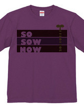 SO SOW NOW 20110311