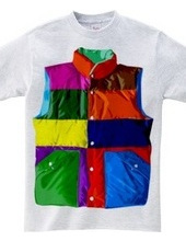 Color downvest