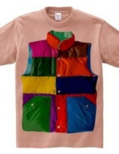 Color downvest