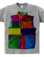 Color downvest