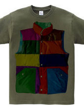 Color downvest