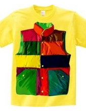 Color downvest