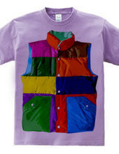 Color downvest