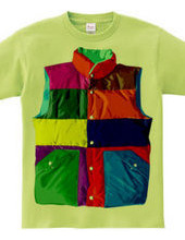 Color downvest