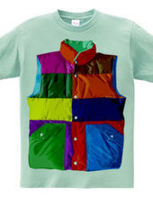 Color downvest