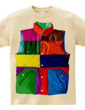 Color downvest