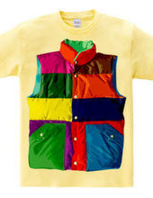 Color downvest