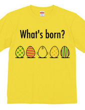 What's born?