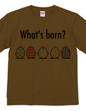 What's born?