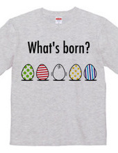 What's born?