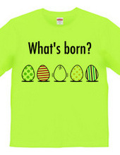 What's born?