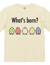 What's born?