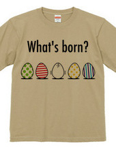 What's born?