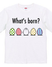 What's born?