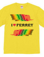 FERRET （2）  フェレット