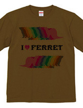 FERRET （2）  フェレット