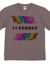 FERRET （2）  フェレット