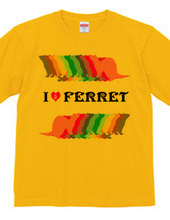 FERRET （2）  フェレット