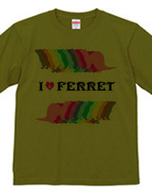 FERRET （2）  フェレット