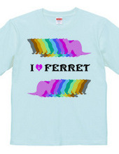 FERRET （2）  フェレット