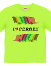 FERRET （2）  フェレット