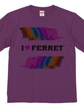 FERRET （2）  フェレット