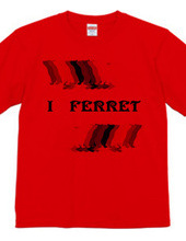 FERRET （2）  フェレット