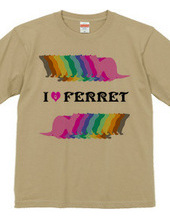 FERRET （2）  フェレット