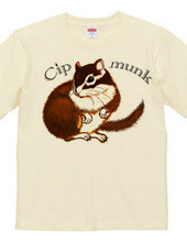 （両面印刷） シマリス - CHIPMUNK （9）