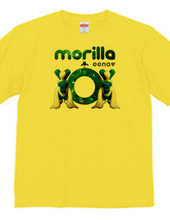 morilla 1st