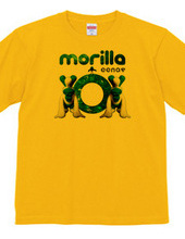 morilla 1st