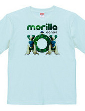 morilla 1st