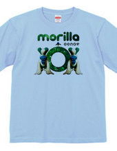 morilla 1st