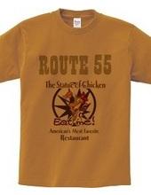 ROUTE55