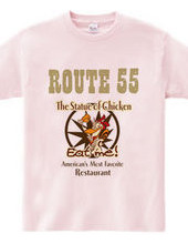 ROUTE５５