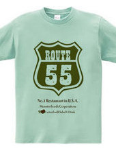 ROUTE55