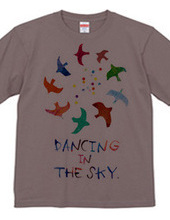dancing in the sky