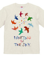 dancing in the sky