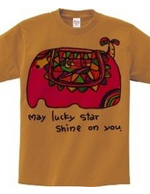 ★May　lucky  star  shine  on  y