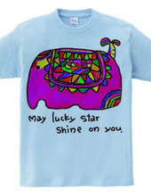 ★May　lucky  star  shine  on  y