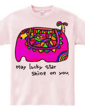 ★May　lucky  star  shine  on  y