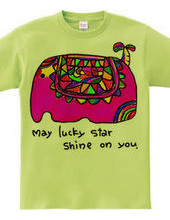 ★May　lucky  star  shine  on  y