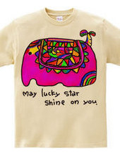 ★May　lucky  star  shine  on  y