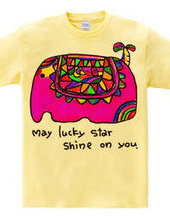 ★May　lucky  star  shine  on  y